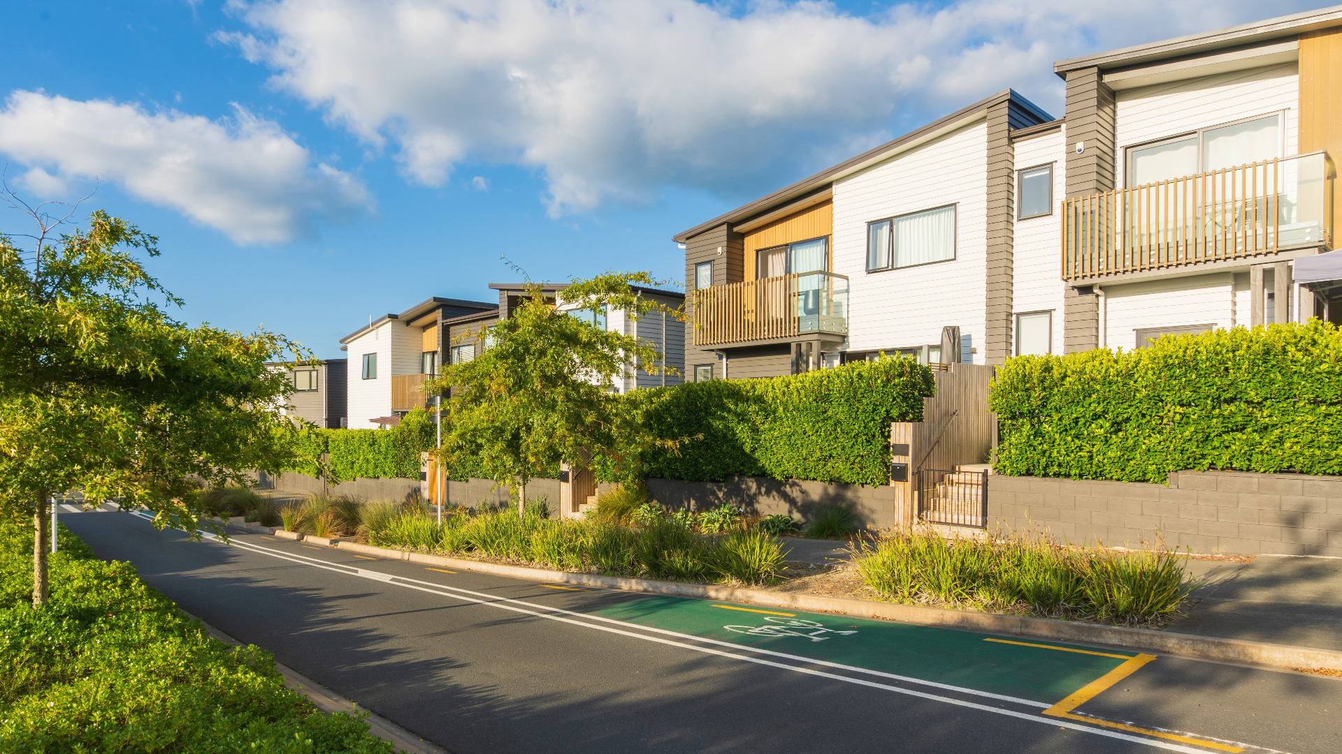 Modern Auckland houses along a suburban street with a green cycle lane.