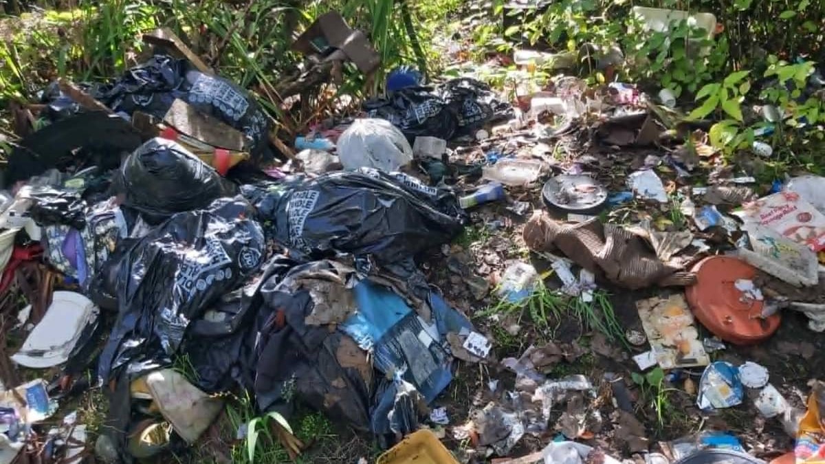 A fly-tipping site near Westport's North Beach with bags and debris in bush.