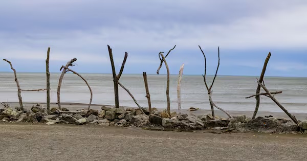 Damage to the Hokitika driftwood sign, one of the West Coast town's most photographed landmarks.